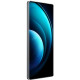 Vivo X100 Pro 16/1TB Asteroid Black