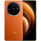 Vivo X100 Pro 12/256GB Sunset Orange
