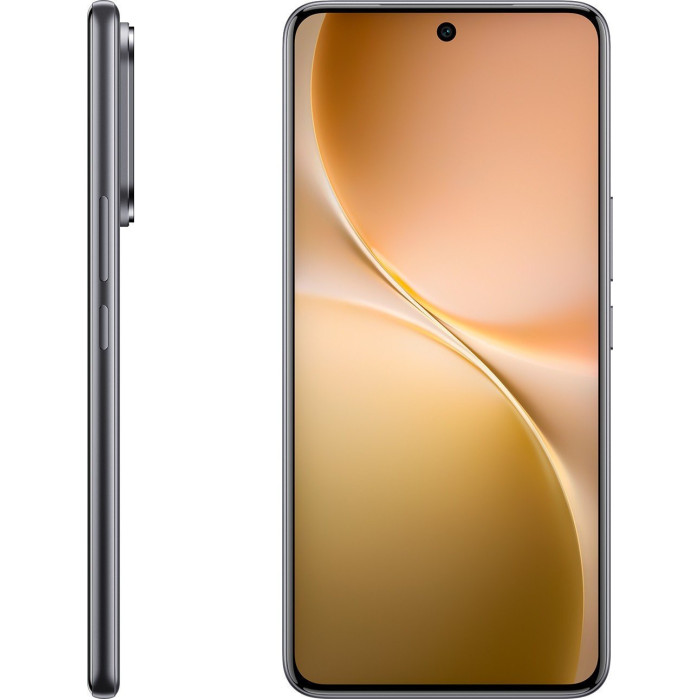 Vivo V60 12/512GB Gray